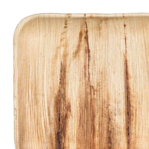 Smarty Had A Party 10" Square Palm Leaf Eco Friendly Disposable Dinner Plates (100 Plates), 100PK 4670S-CASE - main